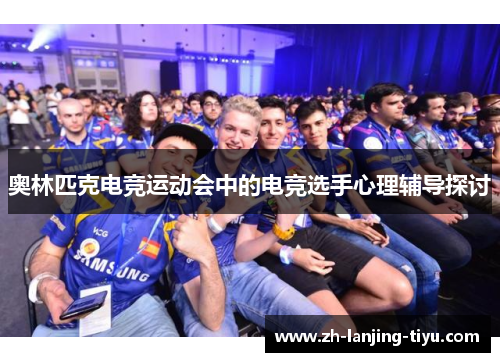 奥林匹克电竞运动会中的电竞选手心理辅导探讨