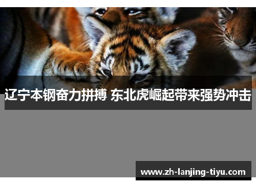 辽宁本钢奋力拼搏 东北虎崛起带来强势冲击
