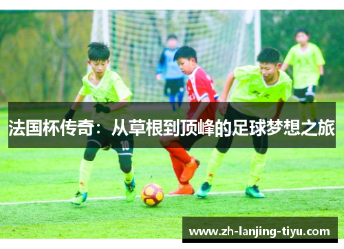 法国杯传奇：从草根到顶峰的足球梦想之旅