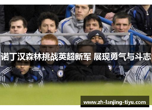 诺丁汉森林挑战英超新军 展现勇气与斗志